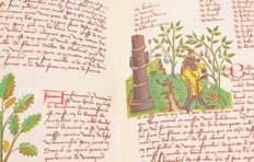 Buch der einfachen Heilmittel - Codex Bruxellensis – De Schutter – MS IV 1024 – KBR (Koninklijke Bibliotheek van België