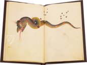 Buch der Fixsterne Alfons’ X. des Weisen – Patrimonio Ediciones – Ms. 78D12 – Kupferstichkabinett (Berlin, Deutschland)