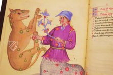 Buch der Fixsterne Alfons’ X. des Weisen – Patrimonio Ediciones – Ms. 78D12 – Kupferstichkabinett (Berlin, Deutschland)