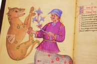 Buch der Fixsterne Alfons’ X. des Weisen – Patrimonio Ediciones – Ms. 78D12 – Kupferstichkabinett (Berlin, Deutschland)