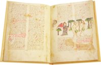 Buch der Strafen und Dokumente von König Sancho den Tapferen – Cod. 3995. Vitr. 17‐8. – Biblioteca Nacional de España (Madrid, Spanien) Faksimile