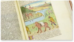 Buch der Wunder der Natur – Siloé, arte y bibliofilia – Français 22971 – Bibliothèque nationale de France (Paris, Frankreich)