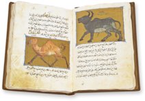 Buch über die Nützlichkeit der Tiere – AyN Ediciones – ms. árabe 898 – Real Biblioteca del Monasterio de San Lorenzo de El Escorial (San Lorenzo de El Escorial, Spanien) Buch über die Nützlichkeit der Tiere – AyN Ediciones – ms. árabe 898 – Real Biblioteca del Monasterio de San Lorenzo de El Escorial (San Lorenzo de El Escorial, Spanien)