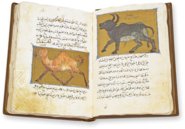 Buch über die Nützlichkeit der Tiere – AyN Ediciones – ms. árabe 898 – Real Biblioteca del Monasterio de San Lorenzo de El Escorial (San Lorenzo de El Escorial, Spanien) Buch über die Nützlichkeit der Tiere – AyN Ediciones – ms. árabe 898 – Real Biblioteca del Monasterio de San Lorenzo de El Escorial (San Lorenzo de El Escorial, Spanien)