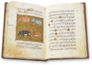 Buch über die Nützlichkeit der Tiere – AyN Ediciones – ms. árabe 898 – Real Biblioteca del Monasterio de San Lorenzo de El Escorial (San Lorenzo de El Escorial, Spanien) Buch über die Nützlichkeit der Tiere – AyN Ediciones – ms. árabe 898 – Real Biblioteca del Monasterio de San Lorenzo de El Escorial (San Lorenzo de El Escorial, Spanien)