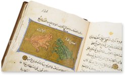 Buch über die Nützlichkeit der Tiere – AyN Ediciones – ms. árabe 898 – Real Biblioteca del Monasterio de San Lorenzo de El Escorial (San Lorenzo de El Escorial, Spanien) Buch über die Nützlichkeit der Tiere – AyN Ediciones – ms. árabe 898 – Real Biblioteca del Monasterio de San Lorenzo de El Escorial (San Lorenzo de El Escorial, Spanien)