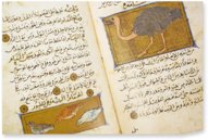 Buch über die Nützlichkeit der Tiere – AyN Ediciones – ms. árabe 898 – Real Biblioteca del Monasterio de San Lorenzo de El Escorial (San Lorenzo de El Escorial, Spanien) Buch über die Nützlichkeit der Tiere – AyN Ediciones – ms. árabe 898 – Real Biblioteca del Monasterio de San Lorenzo de El Escorial (San Lorenzo de El Escorial, Spanien)