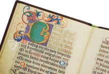 Bußgebetbuch von Albrecht Glockendon für Johann II. von Pfalz-Simmern – Clm 10013 – Bayerische Staatsbibliothek (München, Deutschland) Faksimile