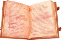 Cantar de Mio Cid – Circulo Cientifico – VITR/7/17 – Biblioteca Nacional de España (Madrid, Spanien) Cantar de Mio Cid – Circulo Cientifico – VITR/7/17 – Biblioteca Nacional de España (Madrid, Spanien)