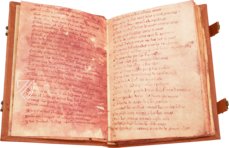 Cantar de Mio Cid – Circulo Cientifico – VITR/7/17 – Biblioteca Nacional de España (Madrid, Spanien) Cantar de Mio Cid – Circulo Cientifico – VITR/7/17 – Biblioteca Nacional de España (Madrid, Spanien)