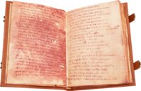 Cantar de Mio Cid – Circulo Cientifico – VITR/7/17 – Biblioteca Nacional de España (Madrid, Spanien) Cantar de Mio Cid – Circulo Cientifico – VITR/7/17 – Biblioteca Nacional de España (Madrid, Spanien)