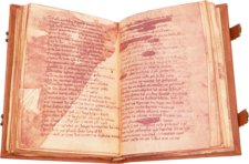 Cantar de Mio Cid – Circulo Cientifico – VITR/7/17 – Biblioteca Nacional de España (Madrid, Spanien) Cantar de Mio Cid – Circulo Cientifico – VITR/7/17 – Biblioteca Nacional de España (Madrid, Spanien)