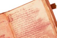 Cantar de Mio Cid – Circulo Cientifico – VITR/7/17 – Biblioteca Nacional de España (Madrid, Spanien) Cantar de Mio Cid – Circulo Cientifico – VITR/7/17 – Biblioteca Nacional de España (Madrid, Spanien)