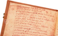 Cantar de Mio Cid – Circulo Cientifico – VITR/7/17 – Biblioteca Nacional de España (Madrid, Spanien) Cantar de Mio Cid – Circulo Cientifico – VITR/7/17 – Biblioteca Nacional de España (Madrid, Spanien)