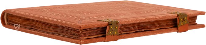 Cantar de Mio Cid – Circulo Cientifico – VITR/7/17 – Biblioteca Nacional de España (Madrid, Spanien) Cantar de Mio Cid – Circulo Cientifico – VITR/7/17 – Biblioteca Nacional de España (Madrid, Spanien)