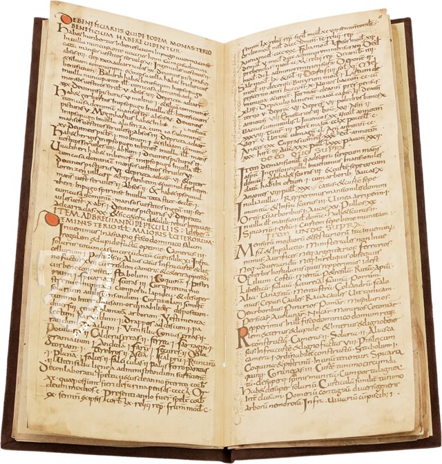 Capitulare de Villis – Cod. Guelf. 254 Helmst. – Herzog August Bibliothek (Wolfenbüttel, Deutschland) Faksimile