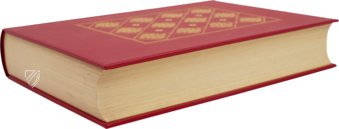 Caspar Strohmayr - Practica Copiosa – Stadtbibliothek Lindau (Lindau, Deutschland) Faksimile