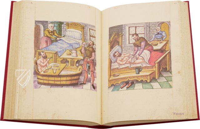 Caspar Stromayr - Practica Copiosa – Facsimila Art & Edition – P. I. 46 – Ehemals Reichsstädtische Bibliothek Lindau (Lindau, Deutschland) Caspar Stromayr - Practica Copiosa – Facsimila Art & Edition – P. I. 46 – Ehemals Reichsstädtische Bibliothek Lindau (Lindau, Deutschland)