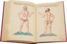 Caspar Stromayr - Practica Copiosa – Facsimila Art & Edition – P. I. 46 – Ehemals Reichsstädtische Bibliothek Lindau (Lindau, Deutschland) Caspar Stromayr - Practica Copiosa – Facsimila Art & Edition – P. I. 46 – Ehemals Reichsstädtische Bibliothek Lindau (Lindau, Deutschland)