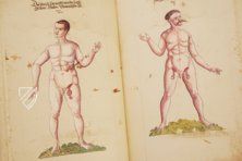 Caspar Stromayr - Practica Copiosa – Facsimila Art & Edition – P. I. 46 – Ehemals Reichsstädtische Bibliothek Lindau (Lindau, Deutschland) Caspar Stromayr - Practica Copiosa – Facsimila Art & Edition – P. I. 46 – Ehemals Reichsstädtische Bibliothek Lindau (Lindau, Deutschland)