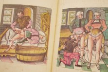 Caspar Stromayr - Practica Copiosa – Facsimila Art & Edition – P. I. 46 – Ehemals Reichsstädtische Bibliothek Lindau (Lindau, Deutschland) Caspar Stromayr - Practica Copiosa – Facsimila Art & Edition – P. I. 46 – Ehemals Reichsstädtische Bibliothek Lindau (Lindau, Deutschland)