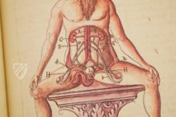 Caspar Stromayr - Practica Copiosa – Facsimila Art & Edition – P. I. 46 – Ehemals Reichsstädtische Bibliothek Lindau (Lindau, Deutschland) Caspar Stromayr - Practica Copiosa – Facsimila Art & Edition – P. I. 46 – Ehemals Reichsstädtische Bibliothek Lindau (Lindau, Deutschland)