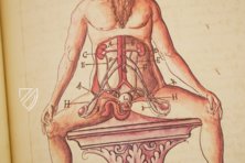 Caspar Stromayr - Practica Copiosa – Facsimila Art & Edition – P. I. 46 – Ehemals Reichsstädtische Bibliothek Lindau (Lindau, Deutschland) Caspar Stromayr - Practica Copiosa – Facsimila Art & Edition – P. I. 46 – Ehemals Reichsstädtische Bibliothek Lindau (Lindau, Deutschland)