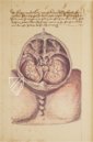 Caspar Stromayr - Practica Copiosa – Facsimila Art & Edition – P. I. 46 – Ehemals Reichsstädtische Bibliothek Lindau (Lindau, Deutschland) Caspar Stromayr - Practica Copiosa – Facsimila Art & Edition – P. I. 46 – Ehemals Reichsstädtische Bibliothek Lindau (Lindau, Deutschland)