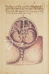 Caspar Stromayr - Practica Copiosa – Facsimila Art & Edition – P. I. 46 – Ehemals Reichsstädtische Bibliothek Lindau (Lindau, Deutschland) Caspar Stromayr - Practica Copiosa – Facsimila Art & Edition – P. I. 46 – Ehemals Reichsstädtische Bibliothek Lindau (Lindau, Deutschland)