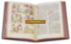 Chronicon Casauriense. Liber instrumentorum seu chronicorum Monasterii Casauriensis.