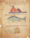 Codex aus Metz – Ms. no. 3307 – Biblioteca Nacional de España (Madrid, Spanien) Faksimile