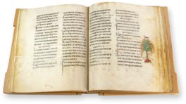 Codex Etschmiadzin – Akademische Druck- u. Verlagsanstalt (ADEVA) – Cod. 2374 – Mesrop Mashtots Institute of Ancient Manuscripts (Eriwan, Armenien)