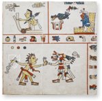 Codex Fejérváry-Mayer – Akademische Druck- u. Verlagsanstalt (ADEVA) – 12014 M – World Museum Liverpool (Liverpool, Vereinigtes Königreich) Codex Fejérváry-Mayer – Akademische Druck- u. Verlagsanstalt (ADEVA) – 12014 M – World Museum Liverpool (Liverpool, Vereinigtes Königreich)