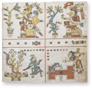 Codex Fejérváry-Mayer – Akademische Druck- u. Verlagsanstalt (ADEVA) – 12014 M – World Museum Liverpool (Liverpool, Vereinigtes Königreich) Codex Fejérváry-Mayer – Akademische Druck- u. Verlagsanstalt (ADEVA) – 12014 M – World Museum Liverpool (Liverpool, Vereinigtes Königreich)