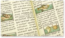 Codex Florentinus – Giunti Editore – Mss. Med. Palat. 218, 219, 220 – Biblioteca Medicea Laurenziana (Florenz, Italien)