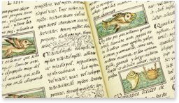 Codex Florentinus – Giunti Editore – Mss. Med. Palat. 218, 219, 220 – Biblioteca Medicea Laurenziana (Florenz, Italien)