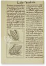 Codex Florentinus – Giunti Editore – Mss. Med. Palat. 218, 219, 220 – Biblioteca Medicea Laurenziana (Florenz, Italien)