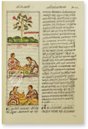 Codex Florentinus – Giunti Editore – Mss. Med. Palat. 218, 219, 220 – Biblioteca Medicea Laurenziana (Florenz, Italien)