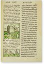 Codex Florentinus – Giunti Editore – Mss. Plut. Laurenziano Mediceo Palatino, 218, 219, 220 – Biblioteca Medicea Laurenziana (Florenz, Italien)