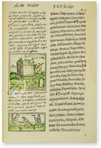 Codex Florentinus – Giunti Editore – Mss. Plut. Laurenziano Mediceo Palatino, 218, 219, 220 – Biblioteca Medicea Laurenziana (Florenz, Italien)
