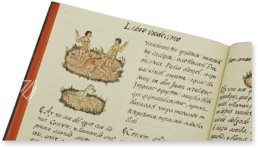 Codex Florentinus – Giunti Editore – Mss. Plut. Laurenziano Mediceo Palatino, 218, 219, 220 – Biblioteca Medicea Laurenziana (Florenz, Italien)