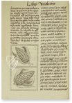 Codex Florentinus – Giunti Editore – Mss. Plut. Laurenziano Mediceo Palatino, 218, 219, 220 – Biblioteca Medicea Laurenziana (Florenz, Italien)
