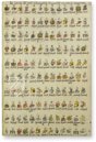 Codex Florentinus – Giunti Editore – Mss. Plut. Laurenziano Mediceo Palatino, 218, 219, 220 – Biblioteca Medicea Laurenziana (Florenz, Italien)