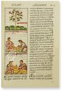 Codex Florentinus – Giunti Editore – Mss. Plut. Laurenziano Mediceo Palatino, 218, 219, 220 – Biblioteca Medicea Laurenziana (Florenz, Italien)