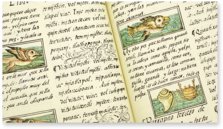 Codex Florentinus – Mss. Plut. Laurenziano Mediceo Palatino, 218, 219, 220 – Biblioteca Medicea Laurenziana (Florenz, Italien) Faksimile