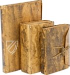 Codex Forster – Giunti Editore – ms “Forster” – Victoria and Albert Museum (London, Vereinigtes Königreich) Codex Forster – Giunti Editore – ms “Forster” – Victoria and Albert Museum (London, Vereinigtes Königreich)