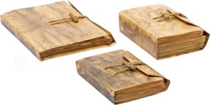 Codex Forster – Giunti Editore – ms “Forster” – Victoria and Albert Museum (London, Vereinigtes Königreich) Codex Forster – Giunti Editore – ms “Forster” – Victoria and Albert Museum (London, Vereinigtes Königreich)