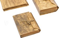 Codex Forster – Giunti Editore – ms “Forster” – Victoria and Albert Museum (London, Vereinigtes Königreich) Codex Forster – Giunti Editore – ms “Forster” – Victoria and Albert Museum (London, Vereinigtes Königreich)