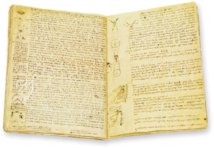 Codex Hammer – Collezione Apocrifa Da Vinci – Bill Gates Collection (Seattle, USA)