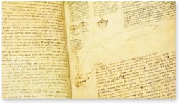 Codex Hammer – Collezione Apocrifa Da Vinci – Bill Gates Collection (Seattle, USA)